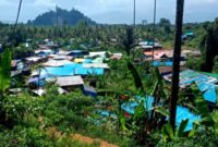 Foto: Lokasi tambangan Emas Tanpa Izin (PETI) di Desa Kusubibi, Kecamatan Bacan Barat, Halmahera Selatan.